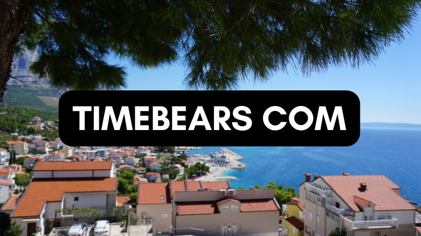 Timebears Watches: My Honest Thoughts After Wearing One For a Year