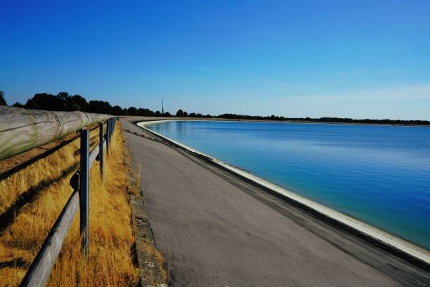 What Is Radamm.com and Why People Search for It